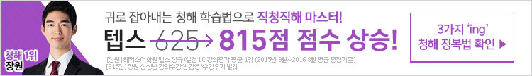 해커스 텝스 스타강사